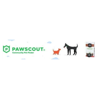 Walmart dog hot sale tags with pictures