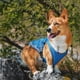 thumbnail image 3 of Chaleco refrigerante para perros. Chaqueta ligera con tecnología de microfibra fría evaporativa, camiseta con protección UV, talla pequeña y mediana (L, azul), 3 of 5