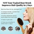thumbnail image 4 of Boar Bristle Hair Brush + Travel Size Natural Wooden Detangler Comb , Normal,Fine Thin Hair- Add Shine & Improve Hair Texture- Eco Bamboo Detangling Hairbrushes, 4 of 8
