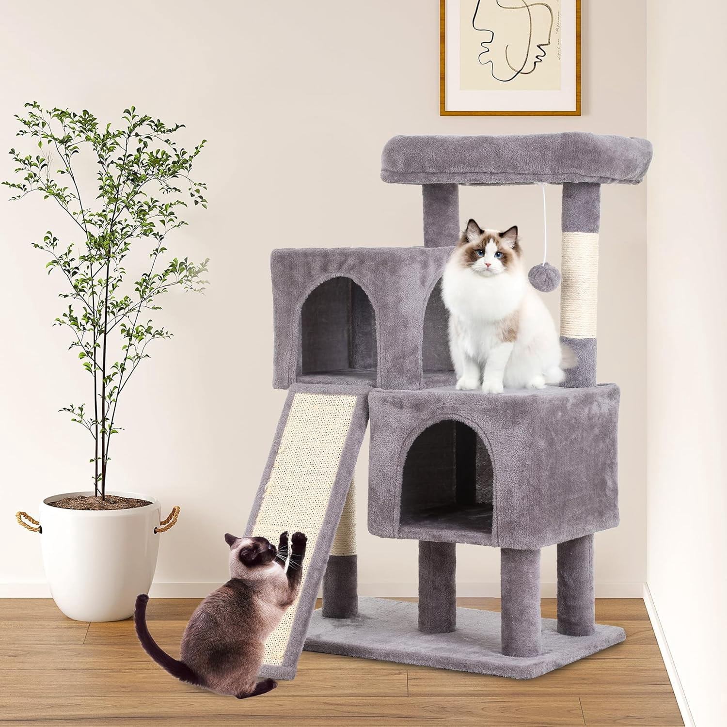 FDW Cat Tree for Indoor Cats 36" Cat Tower Multi-Level Indoor Cat Play Condo House with Scratching Posts, Spacious Perch,Ashy