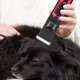 thumbnail image 5 of Pet Grooming Kit Pet Hair Shaver Pet Trimmer Tijeras Pet, 5 of 8