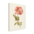 thumbnail image 2 of Trademark Fine Art 'Garden Poppy' Canvas Art by Danhui Nai, 2 of 3