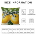 thumbnail image 5 of YINGXI  Lemon Summer Decoration, Garden Flag and Throw Pillow Covers 20x20in, 5 of 5