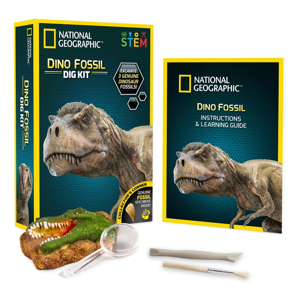 dinosaur fossil digging