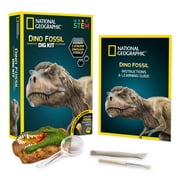 National Geographic Dinosaur Fossil Dig Kit