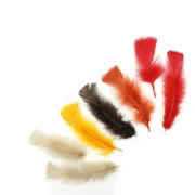 Zucker Feather Products Loose Turkey Flats Section Dyed Feathers - 4-6" - Fall Mix