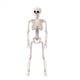 thumbnail image 5 of 2X Decoraciones de Esqueletos de Halloween, Esqueleto de PláStico Articulado, Esqueleto de Cuerpo Completo con Articulaciones MóViles, 5 of 5