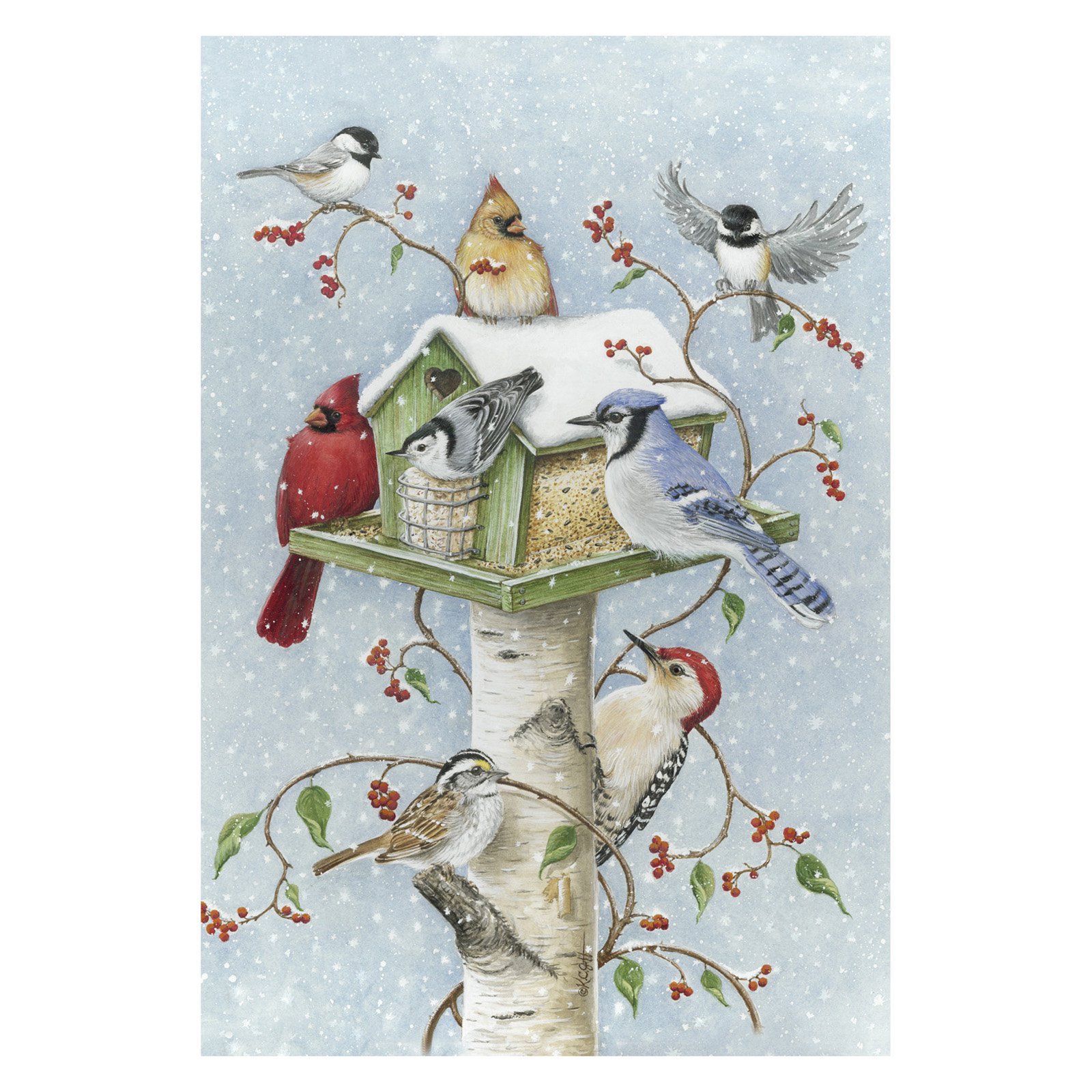 Toland Home Garden Winter Birds Flag