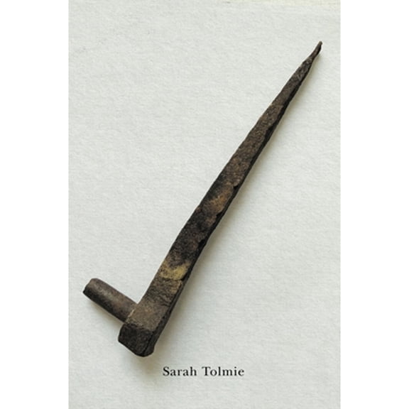 Pre-Owned Check (Paperback) by Sarah Tolmie