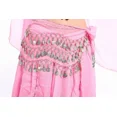 thumbnail image 4 of Fajilla Bellydance Monedas Danza Árabe Chifon Falda Zumba, 4 of 8