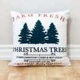 thumbnail image 1 of FARM FRESH CUSHION, 1 of 4