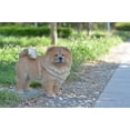thumbnail image 4 of Hi-Line Gift Statue de Chien Chow Chow Debout, 4 of 4