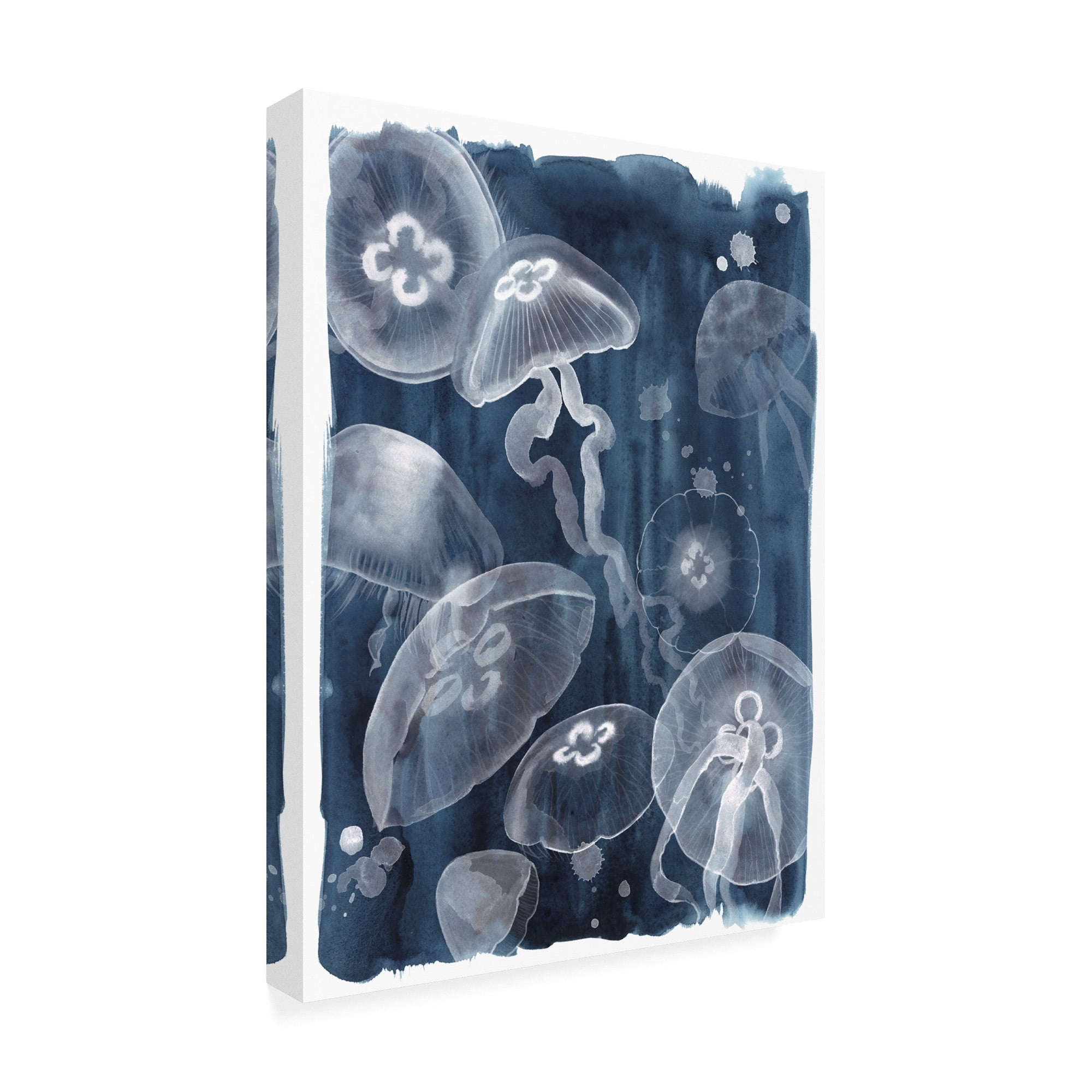 Trademark Fine Art 'Moon Jellies I' Canvas Art by Grace Popp