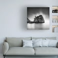 thumbnail image 2 of Canvas Wall Art - George Digalakis 'Dream On' Wall Art for Living Room, Bedroom, or Office D?cor by Trademark Fine Art - 24 x 24 Inches, 2 of 4