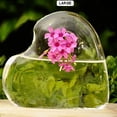 thumbnail image 1 of EGNMCR Room Decor Home Decor Transparent Vase Hydroponic Container Glass Vase Home Desktop Test Vase, 1 of 2