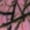 Pink Camo, variant on Infant Girl Hoodie Fleece Jacket & Track Pant, 18-24 Months, Pink Camo