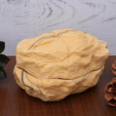 GOOHOCHY  Gecko Enclosure Accessories Reptile House Size Hide Hideouts