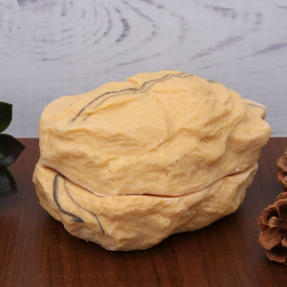 GOOHOCHY  Gecko Enclosure Accessories Reptile House Size Hide Hideouts