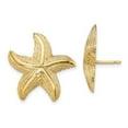 thumbnail image 4 of Auriga Fine Jewelry 14K Yellow Gold Starfish Stud Earrings for Women (L- 0.8 inch, W- 0.85 inch), 4 of 6