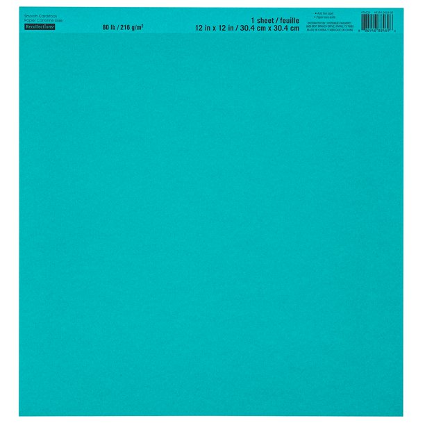 MICHAELS Bulk 60 Pack Smooth Solid Cardstock Paper by Recollections