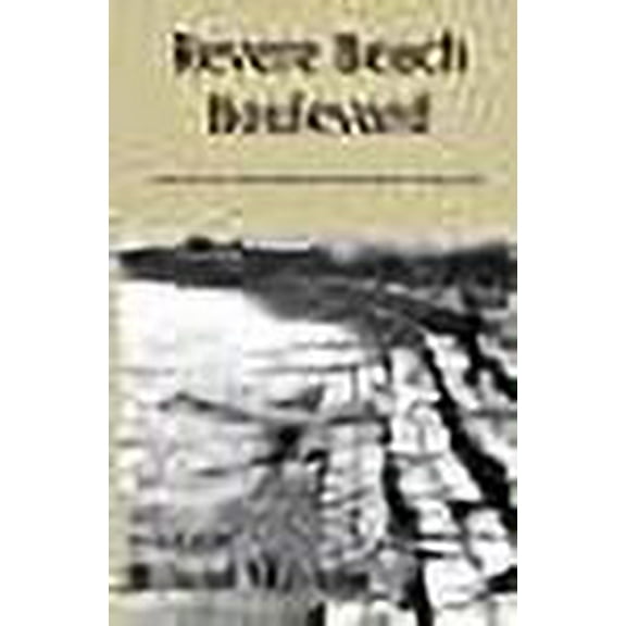 Revere Beach Boulevard (Volume 1)