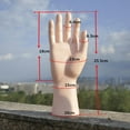 thumbnail image 3 of Maniquí mano plástico expositor guante soporte, modelo - La piel Sunnimix guantes maniquí manos, 3 of 8