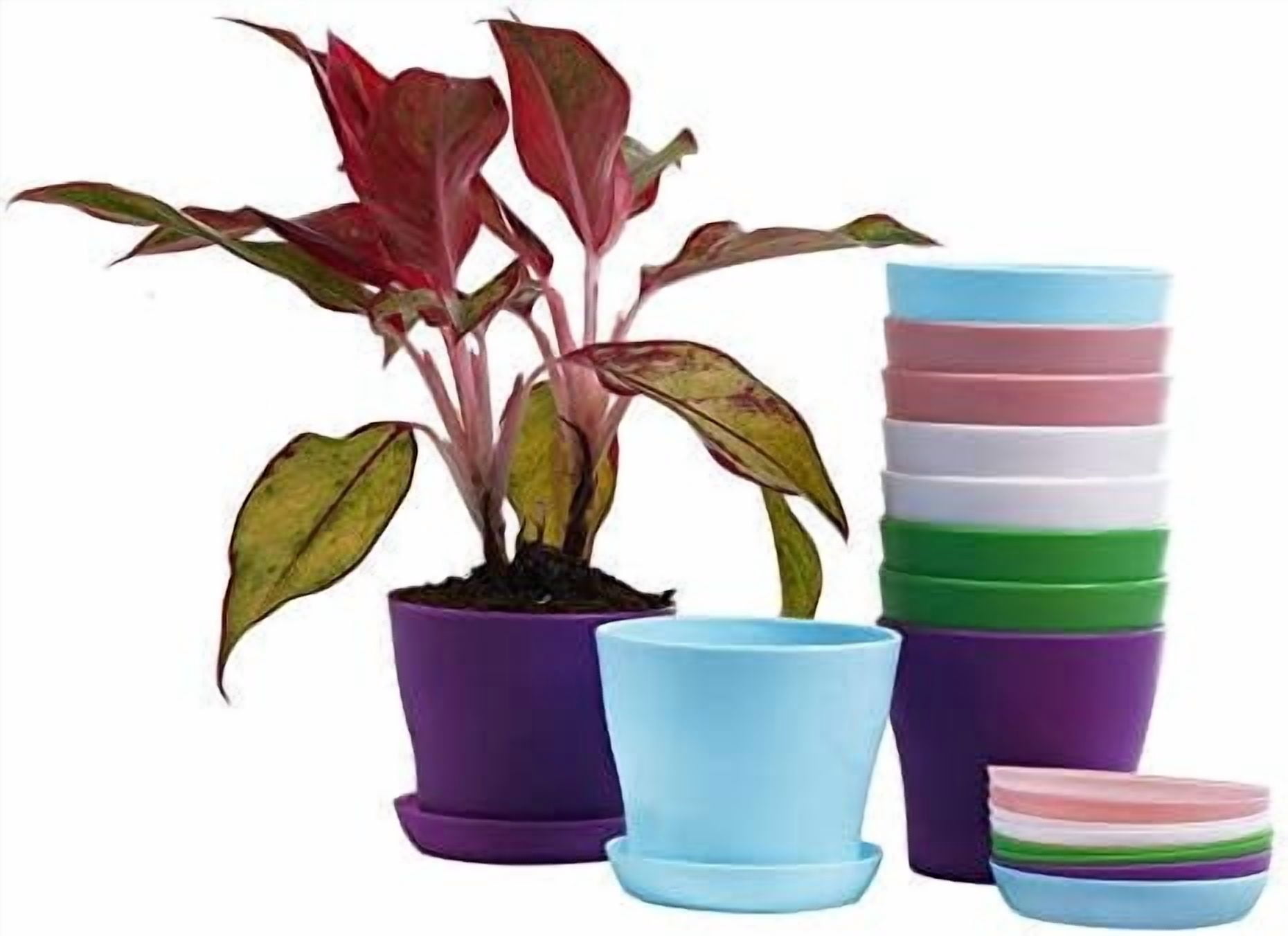 10 Pcs Plastic Planters Indoor Pots, Mini Flower Seedlings Nursery Pot with Pallet, Modern Decorative Gardening Containers