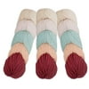 Caron X Pantone Yarn - 3 Pack (Peach Blush Parfait)