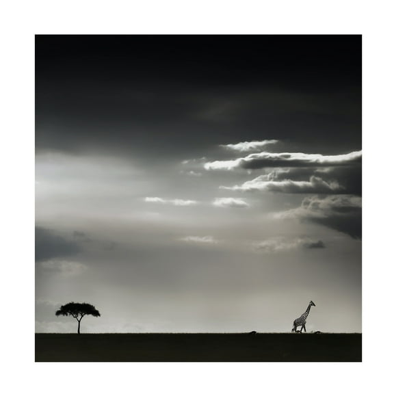 Piet Flour '15 Minutes Of Happiness' Canvas Art