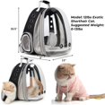 thumbnail image 2 of Mochila para gatos LOLLIMEOW Bubble expandible para mascotas, 2 of 8