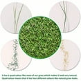 thumbnail image 5 of ALTRUISTIC Artificial Grass Turf Pet Fake Grass Rug 4FT x 7FT 1.38inch Pile Height High Density Faux Synthetic Grass Indoor Outdoor Lawn Carpet Non Toxic Astroturf Custom Size Provided, 5 of 7