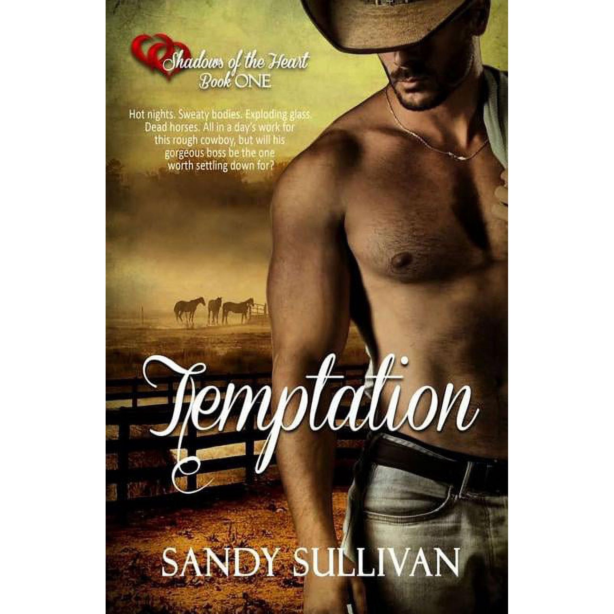 Shadows of the Heart: Temptation (Paperback)