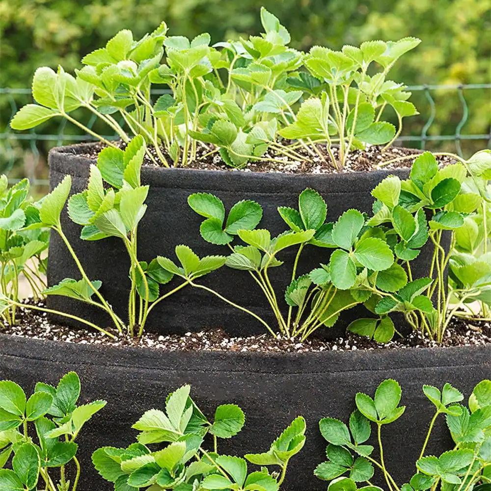 Gardens Alive! Geo-Textile Grow Tub 3-Tiered Strawberry Planter - Hold 25+ Plants - 24 In tall x 36 In Diameter