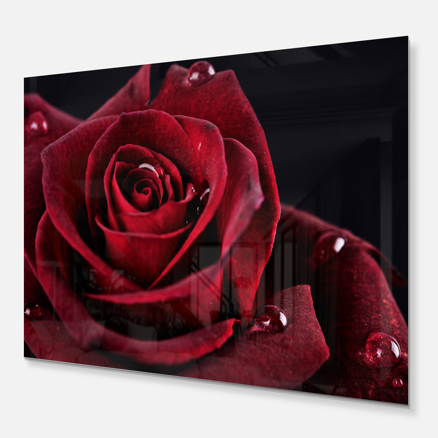 Designart 'Red Rose with Raindrops on Black' Metal Wall Art