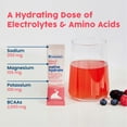 thumbnail image 6 of NativePath Hydrate Electrolyte Stick Packs, Mixed Berry, Zero Sugar with BCAAs, 30 Count, 6 of 9