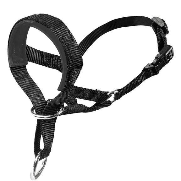 DESIGNICE Dog Leash Effective Training tool No Pull Dog Collar Comfortable Fit Reflective Dog Collar,Black