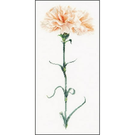 Carnation Cross - Carnation Peach On Aida Counted Cross Stitch Kit, 6.5