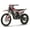 Red, variant on Trailmaster JHL Pro Series TM MX250 Dirt Bike Electric Start, Extended Frame, 21 inch Front tire, 35.4" seat Height Manual Trans (Blue)