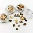 thumbnail image 4 of MANNYA Mini Tiny Sea Shells Mixed Ocean Beach Seashells Natural Starfish for Home, 4 of 8