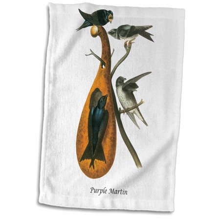 3dRose Purple Martin by John James Audubon - Towel, 15 by 22-inch