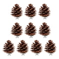 thumbnail image 1 of Bird Molar Pine Cone Toy, Multifunction Bite Resistant 6cm / 2.4in Parrots Chewing Pine Cones More Fun  For Cockatiel For Conure, 1 of 8