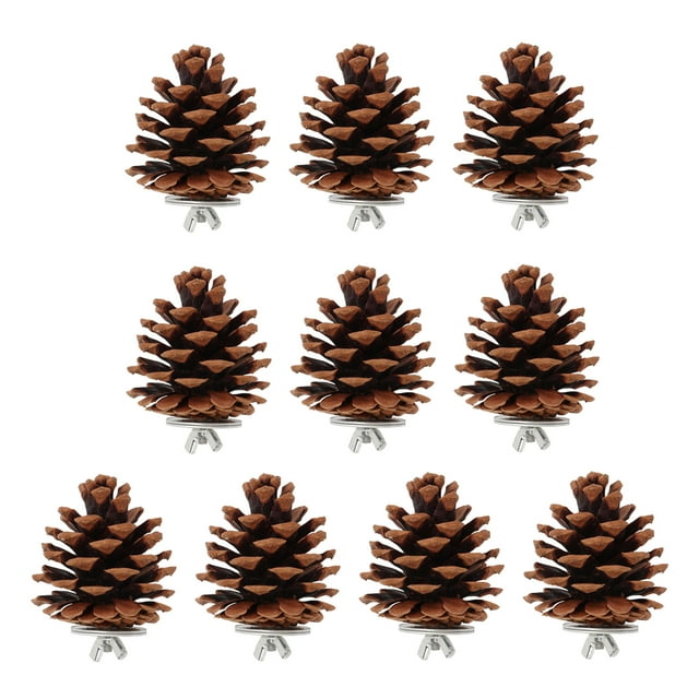 Bird Molar Pine Cone Toy, Multifunction Bite Resistant 6cm / 2.4in Parrots Chewing Pine Cones More Fun For Cockatiel For Conure