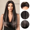 thumbnail image 3 of Peluca recta plateada con resaltado negro para mujer, pelucas largas sintéticas de encaje de rayita, cabello resistente al calor de aspecto Natural para fiesta diaria, 3 of 4