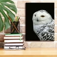 thumbnail image 3 of Epic Graffiti 'Snowy Owl' by Epic Portfolio, Giclee Canvas Wall Art, 12"x16", 3 of 8