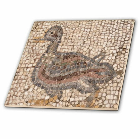- 3dRose Roman Mosaic - ephesus, roman ruins, ruins, turkey, mosaic, arts and crafts, duck mosaic - Ceramic Tile, 8-inch