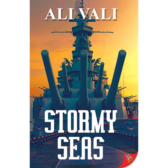 Stormy Seas (Paperback)