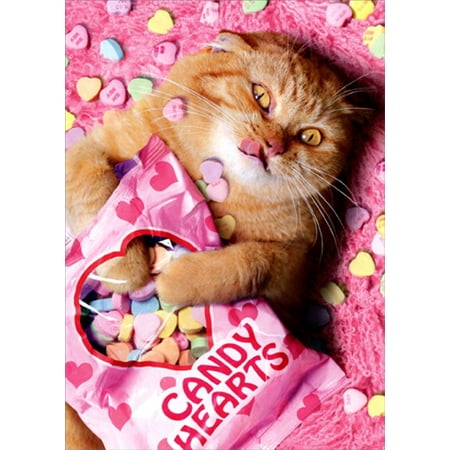 Avanti Press Sweetheart Cat Funny Valentine's Day (Best Funny Valentines Day Cards)