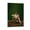 Frame-style, variant on Doechii Art RAPPER Poster Poster Cool Artworks Painting Wall Art Canvas Prints Hanging Picture Home Decor Posters Gift 12x18inch(30x45cm)
