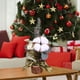 thumbnail image 3 of Conjunto De Bayas Artificiales Zulema Decoraciones De Mesa, 3 of 5