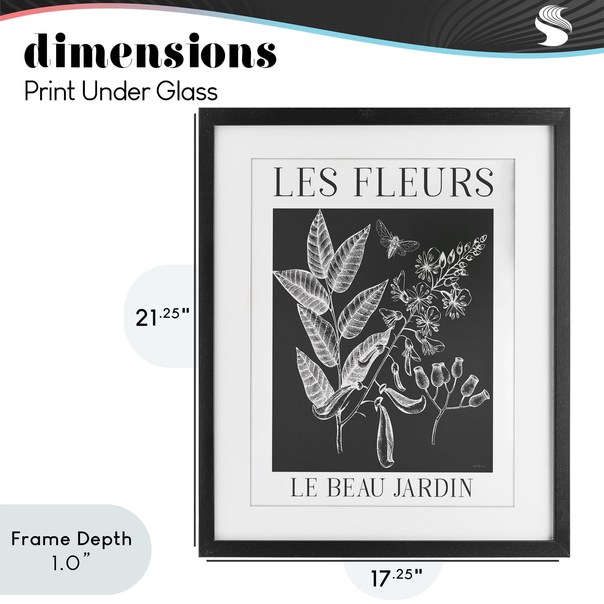 Stupell Industries Les Fleurs Black & White Contour Black Framed Print Under Glass, design by Lux + Me Designs